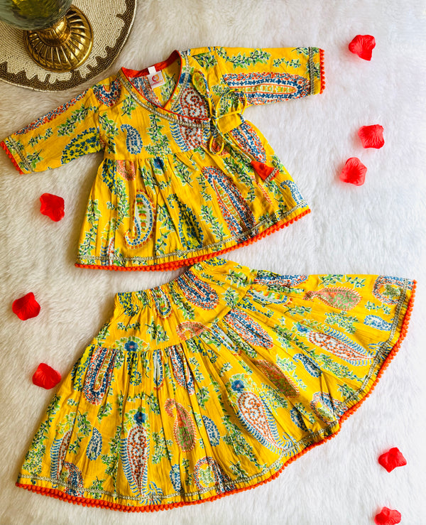 Cutest Ghagra Choli Set