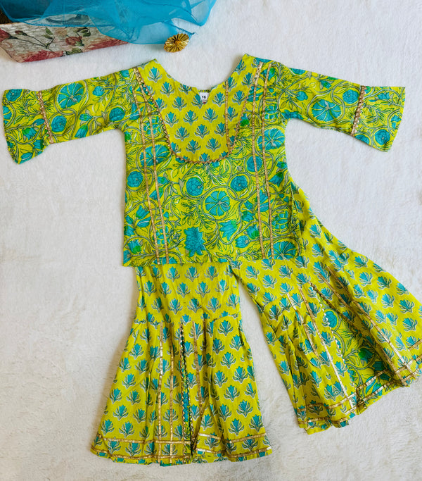 Meena Kurta and sharara
