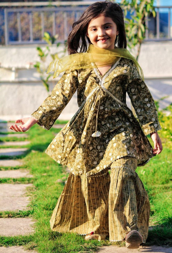 Royal Designed Sharara Set